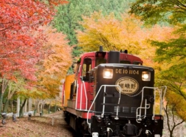 【京都府】嵯峨野トロッコ列車と嵐山嵯峨野散策 イメージ