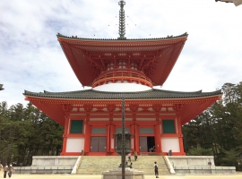 【25名様限定企画】 高野山萬燈供養会ろうそく祭り イメージ