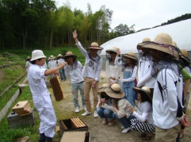 【岡山県】みつばち農園と赤磐 酒蔵見学 イメージ