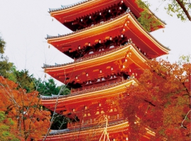 【スタートラベル共同企画】紅葉の名所を巡る京都紅葉ツアー イメージ