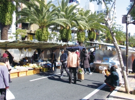 【旅のイチオシ!】高知県 絶品グルメと名品の宝庫高知日曜市日帰りの旅【年末寒ぶり付きツアー】 イメージ