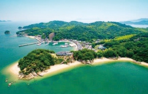19-030_高島4_activity_03