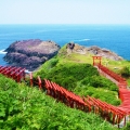 【山口県】山口県屈指の絶景　角島と元乃隅稲成神社 イメージ