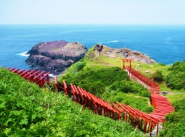 【山口県】山口県屈指の絶景 角島と元乃隅稲成神社 イメージ