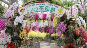 【３月バスの日】とっとり花回廊らんまつりとジンギスカン食べ放題 イメージ