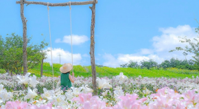 【広島県】花まつり 花の駅せらとバーベキュー食べ放題 イメージ