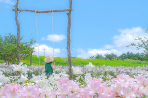 世羅ブランコ