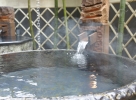男性露天風呂_男性一人用かめ湯 s2 (002)