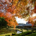 【山口県】好評につきアンコール企画！常栄寺雪舟庭見学とランチビュッフェ イメージ