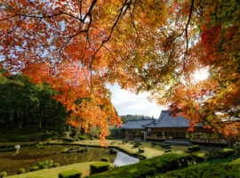 【山口県】好評につきアンコール企画!常栄寺雪舟庭見学とランチビュッフェ イメージ