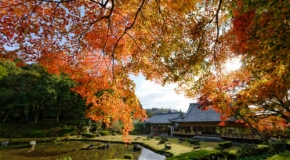 【山口県】好評につきアンコール企画！常栄寺雪舟庭見学とランチビュッフェ イメージ