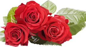 【スタートラベル共同企画】春の神戸・京都バスツアー１泊２日 イメージ